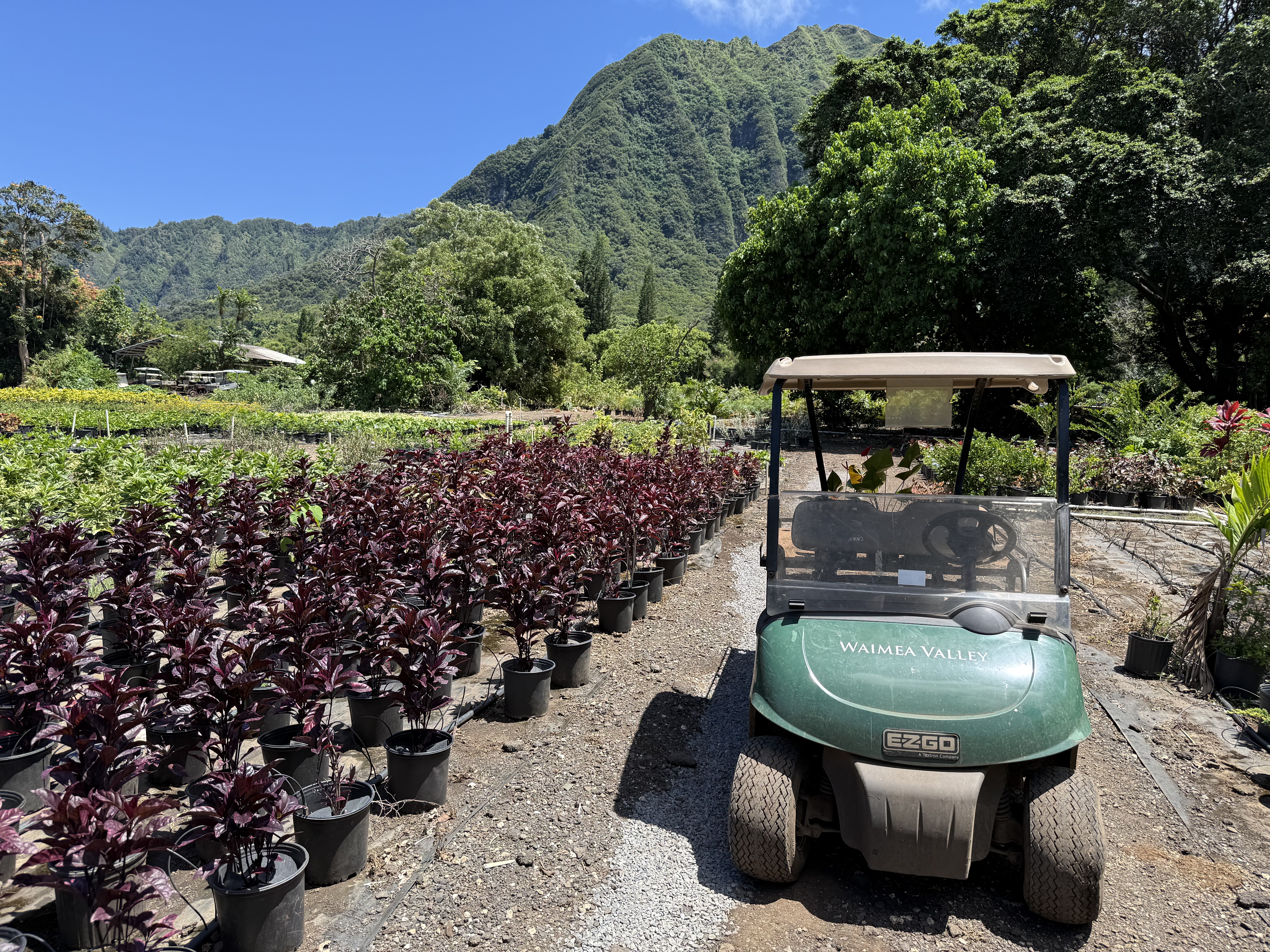 Riding around Koba Nursery